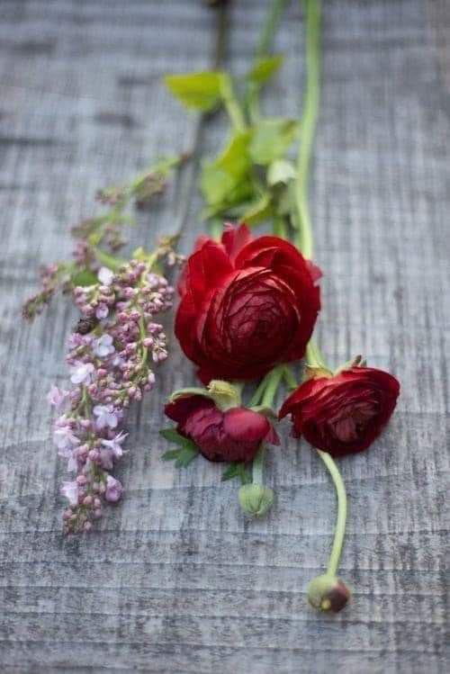 المجادلة مع الناس الأغبياء تشبه محاولة قتل بعوضة واقفة على خدك..
 قد تقتلها.. او لاتقتلها..
 لكن في كلا الحالتين..!!!
 سينتهي الأمر بك ان تصفع نفسك؟؟