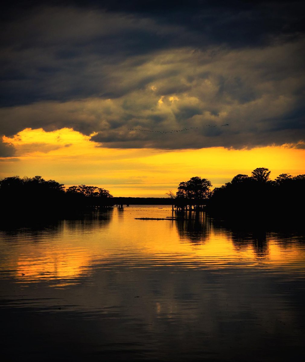 The sky set the Atchafalaya on fire 🔥 Zoom in to see our feathered friends enjoying the view! 👀
📸: @mattythor_abstract
