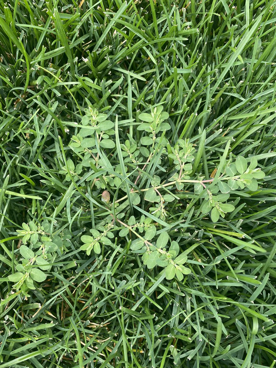 Jack Seitz tweet media