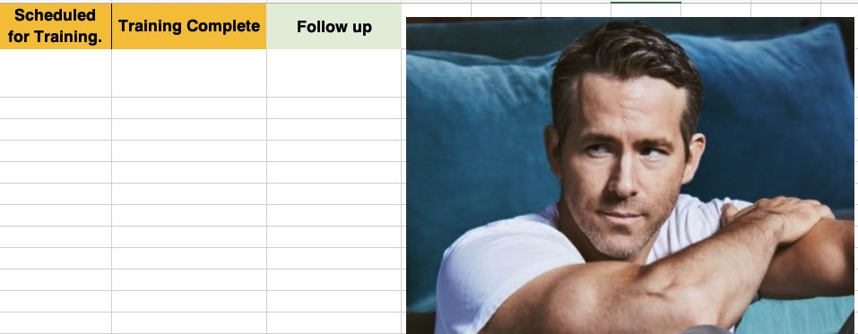 Using <a href="/VancityReynolds/">Ryan Reynolds</a> as a way to keep track of my training logs for our Canadian dealer network 🥰. I’m only at 16% but should get to 💯 in no time.