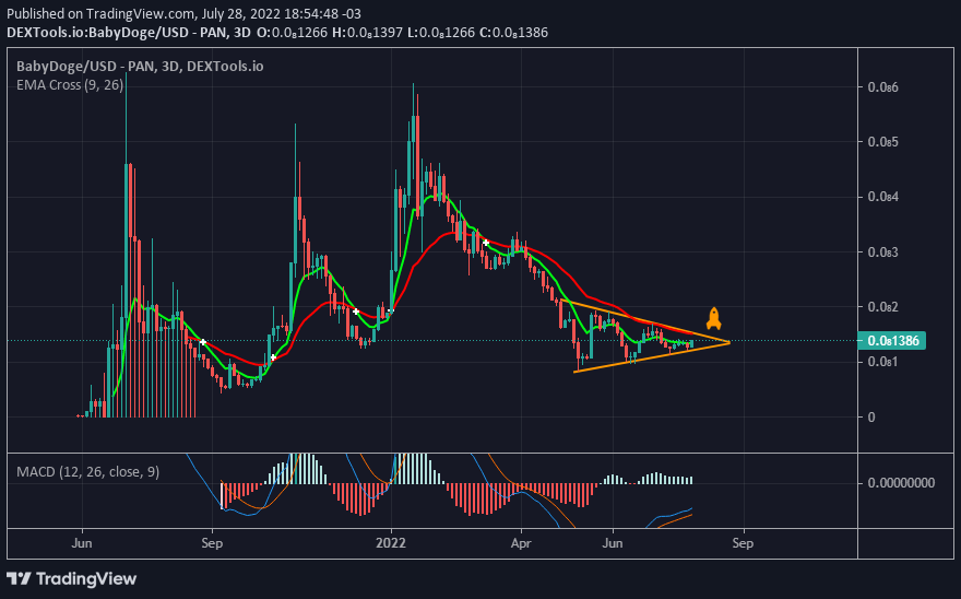 Fransil39123482's tweet photo. #BabyDogeCoin #BabyDoge getting ready for the Pump! https://t.co/NnC69R41cN