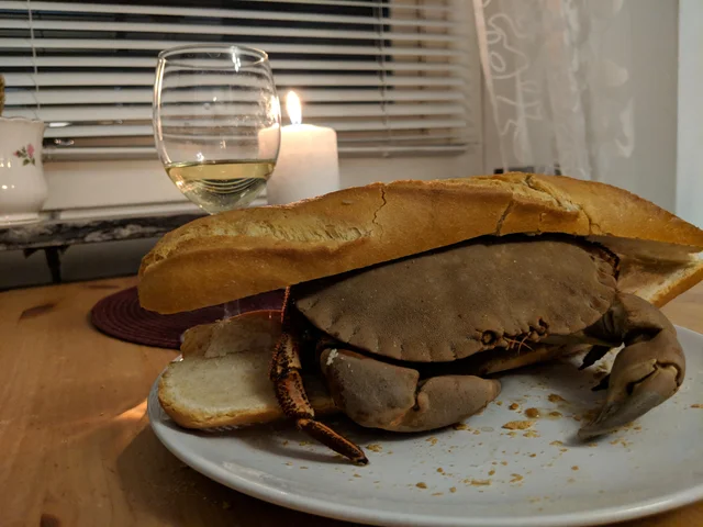 messedupfoods's tweet photo. crab boiled in pepsi max for 2 hours, on a baguette with white wine https://t.co/CYDEWWiGr7