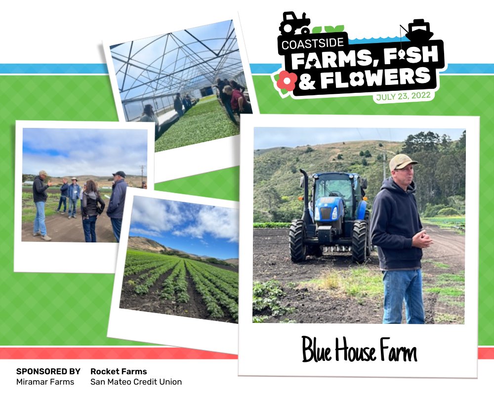 hmbcoastchamber's tweet photo. Thank you to Blue House Farm, Harley Farms, & R & R Fresh Farms for participating and being so awesome on the Farms, Fish & Flowers South Coast One tour! We appreciate all you do and the expertise you shared! #Farms #Fish #Flowers #HMBCoastside https://t.co/KtgruTWV9E