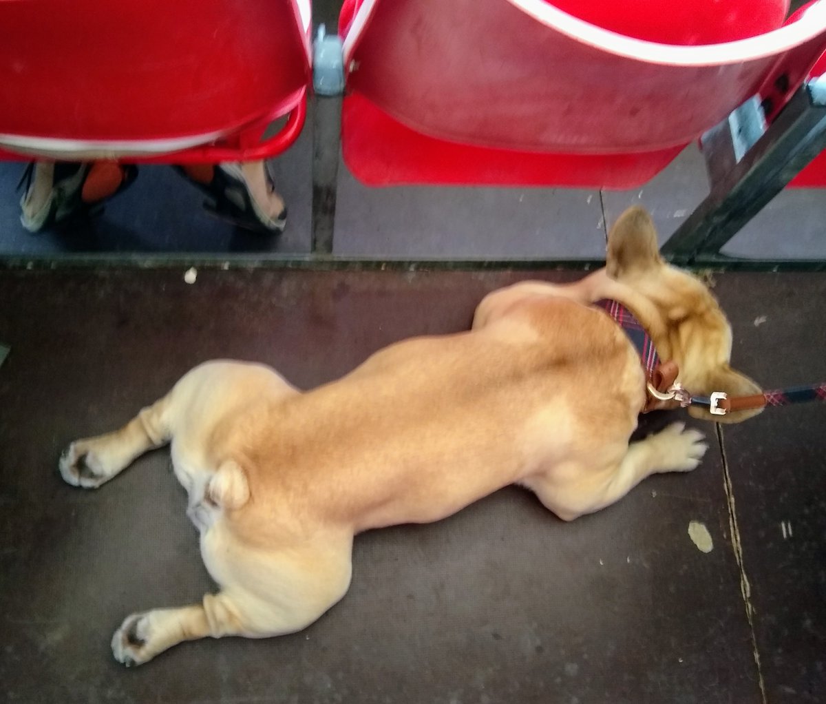 john higgins tweet media