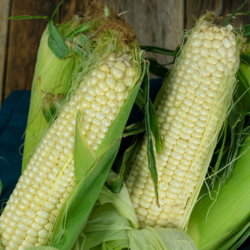 SpecialtyProd's tweet photo. What's your favorite way to serve white corn? #specialtyproduce #corn #summertime #inseason