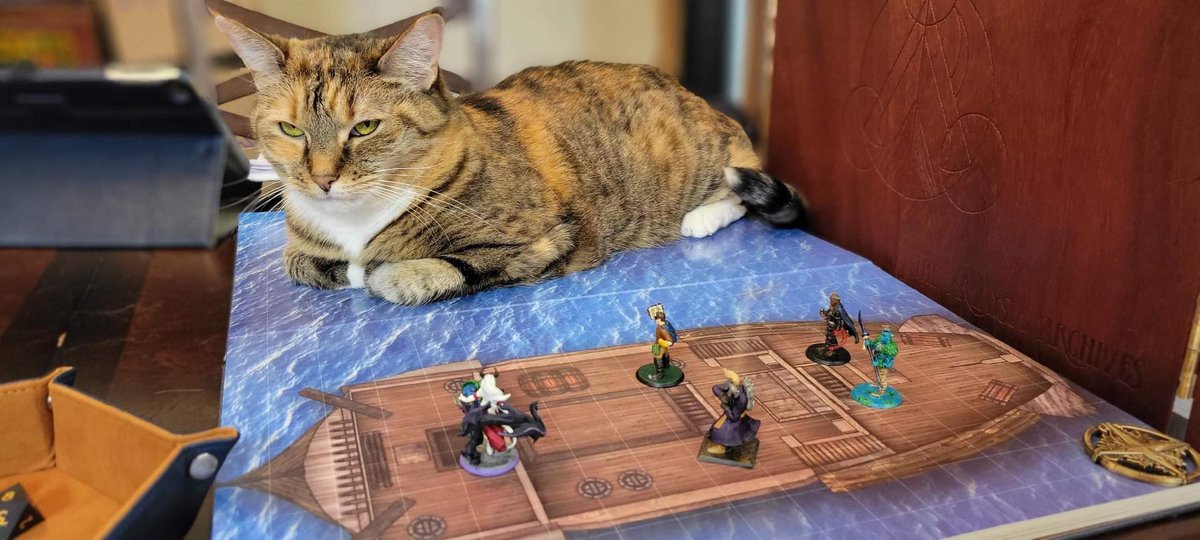 daniela_aranaga's tweet photo. Sea Meow-ster 
#CatsOfTwitter #dndcat #dnd https://t.co/LczjX6axvK