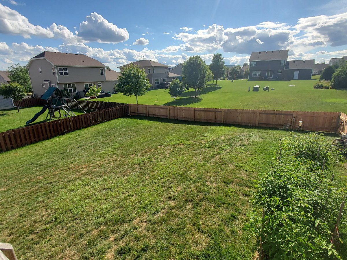 We just spent $6700 to fence our backyard today and Baxter won't come down the stairs 🙄 #backyard #outside #fence #fencedyard #Baxter #dog #dogsoftwitter