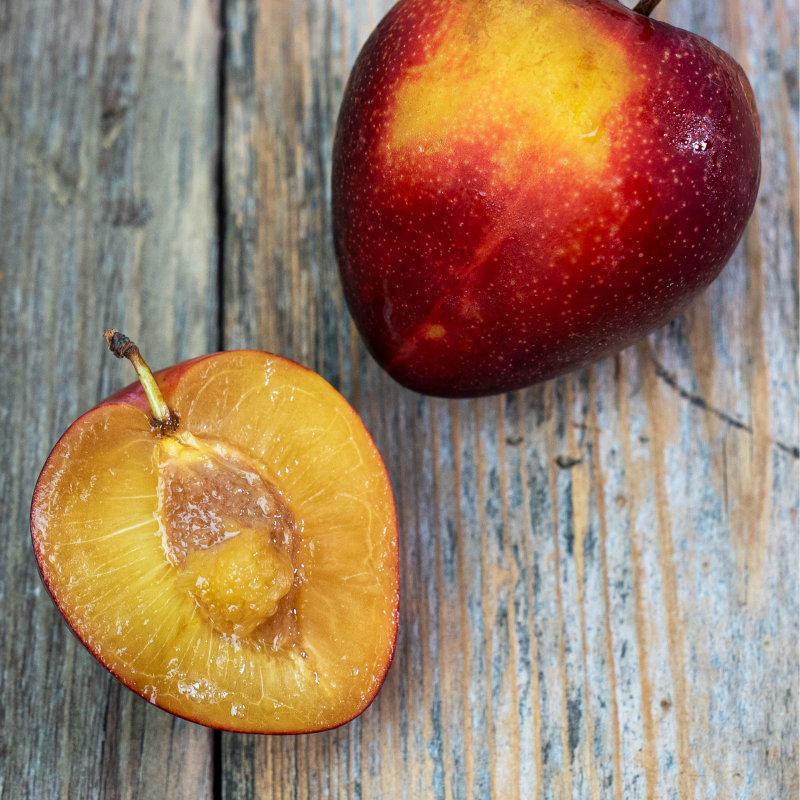 SpecialtyProd's tweet photo. Despite the name, Cherry Plums are not a hybrid cherry and plum variety but are actually an ancient species of plum, believed to be native to Western Asia. #specialtyproduce #cherryplums