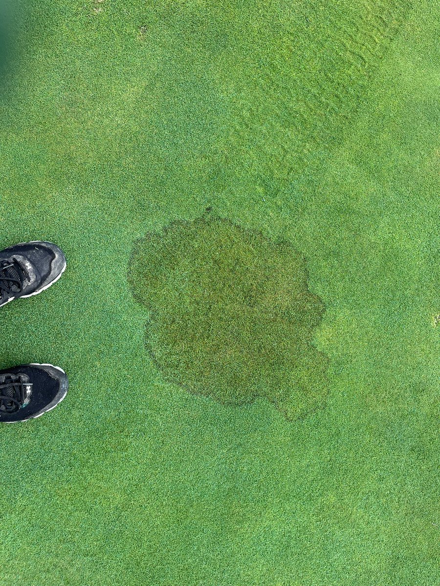 jdwachter's tweet photo. @yourgolftravel Just sprayed a green. 1 big textbook #brownpatch https://t.co/LSnBrnGXgf