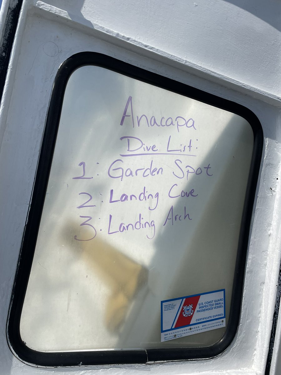 zendiveco's tweet photo. today’s #divereport from @CHISNPS aboard spectre dive boat!

we did 3 dives on anacapa island.
1. garden spot
2. landing cove
3. landing arch

warm-ish surface temps around 65° with a chilly thermocline around 60’ hovering @ 60°. 

~35’ of viz and relatively blue water. rad day! https://t.co/J9vU0ycveX