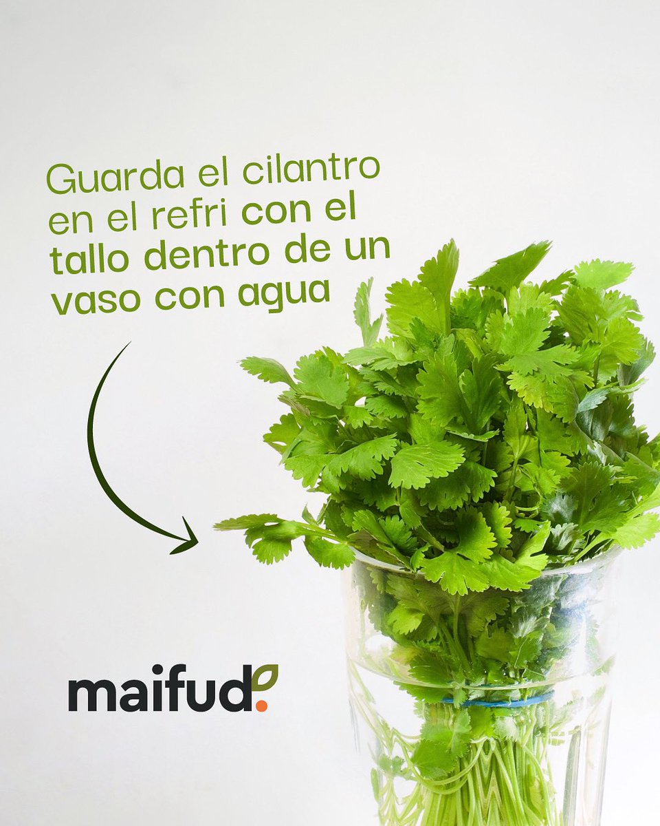 Usa estos tips para alargar la vida de tus alimentos y evitar el desperdicio de alimentos 😉