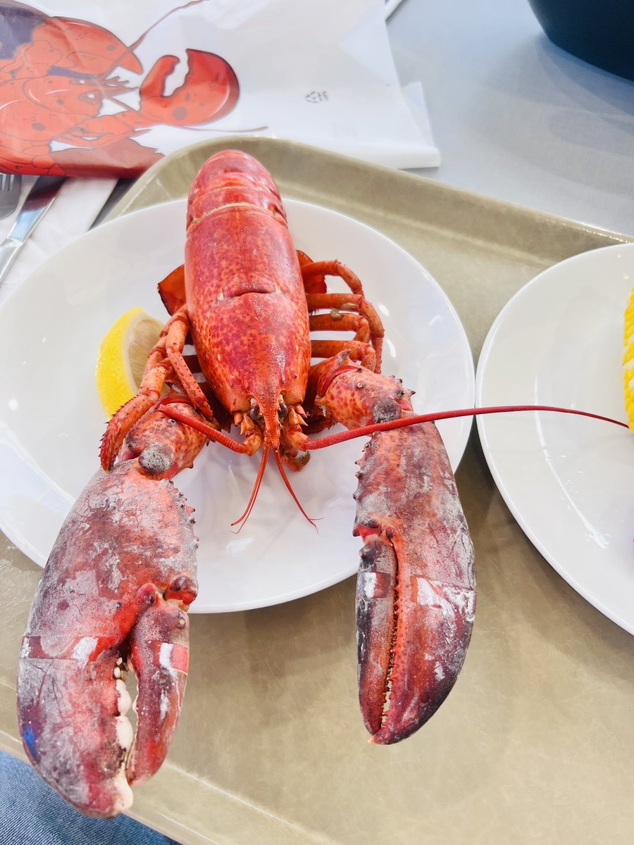 Dinner time 🦞 only at the GRC 😂 <a href="/GordonConf/">Gordon Research Conferences</a>