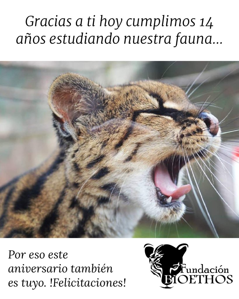 bioethoscol's tweet photo. Hoy estamos muy contentos de cumplir 14 años, de la mano de nuestros aliados y seguidores por eso este día también es de ustedes. Felicitaciones!!! #bioethos https://t.co/5Br5tMxODq