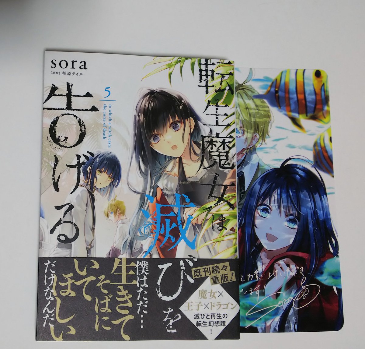 転生魔女は滅びを告げる 5巻 高い素材