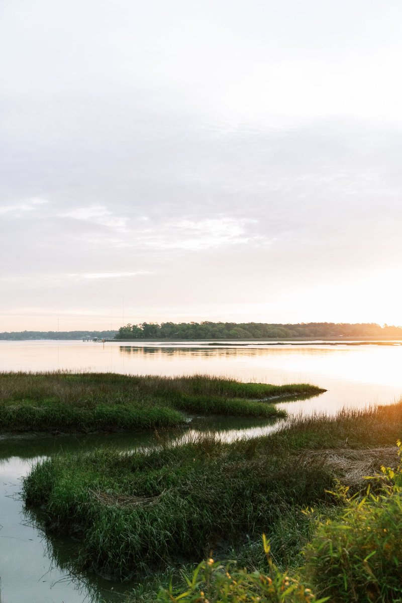At Palmetto Bluff, there is an inherent responsibility to the natural world. Ensuring  views like this can be enjoyed for generations to come, Conservancy Executive Director Jay Walea &amp; his team work to conserve Palmetto Bluff’s wild places and creatures.

bit.ly/3vhYRt2