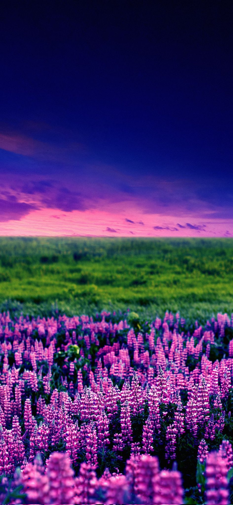 Wallpaper on Twitter: Wallpaper on Twitter: