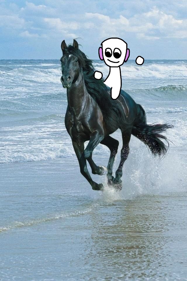 daily chat day 5!! riding off into the sunset