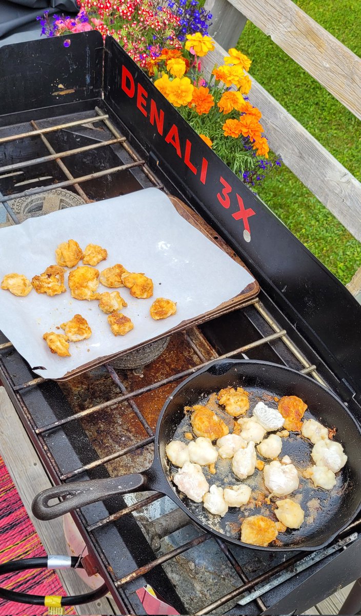 bcb490's tweet image. Appy tonight was tongues with main courses as cedar planked salmon and pan-fried cod (no pic, my bad). All cooked outside cause that's how we roll