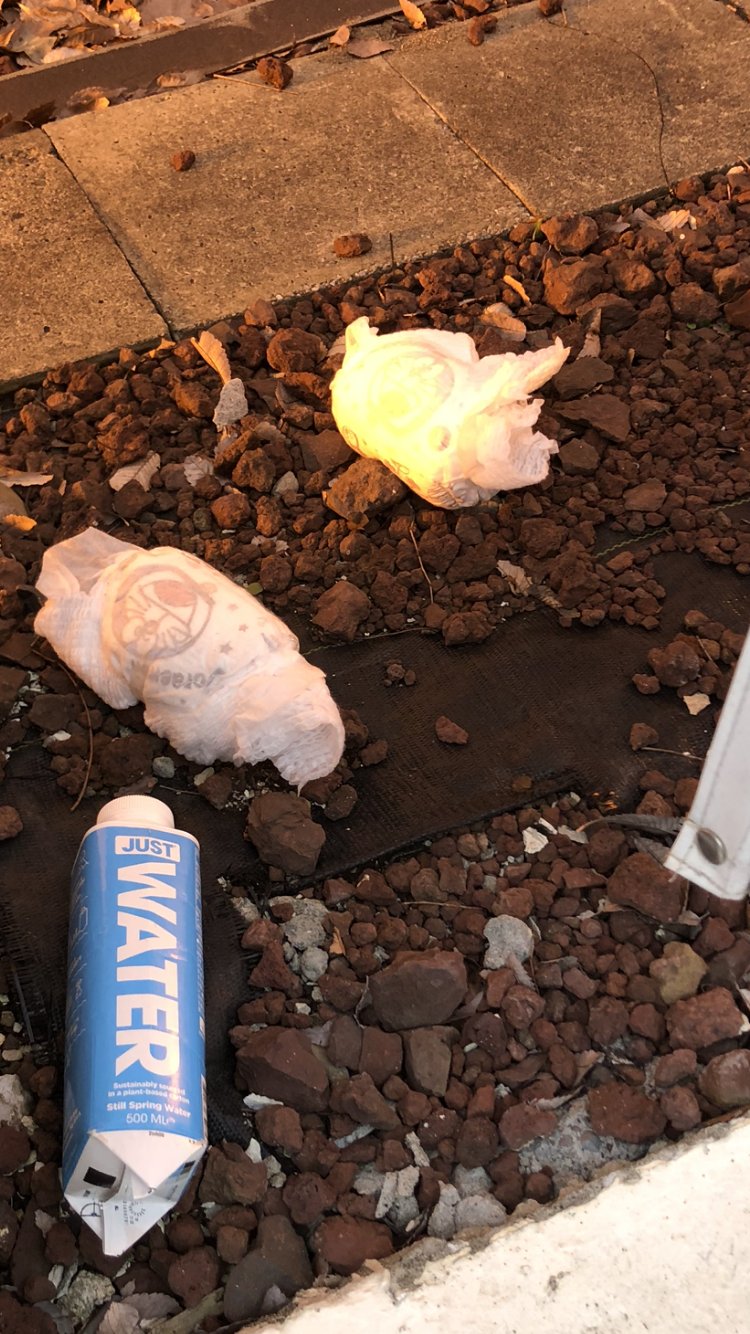 アルゴ 介護事業 東久留米 営業担当 ｔ君より おはようございます とあるファミレスの脇に 僕 ドラえもん どーしてこーなっちゃうかな みんなの街だよ T Co Fawuzgpfq9 Twitter