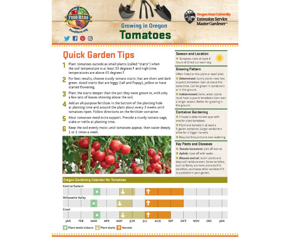 BeAFoodHero's tweet photo. For most vegetable plants, the more you pick, the more will grow! So once your cucumbers, tomatoes, and peppers are fully grown, pick them to encourage more to grow. Find more tips at the link! #GrowThis #Gardening #GrowAtHome #GardeningTips
https://t.co/ctVDETapA1 https://t.co/NR01XyXCBu