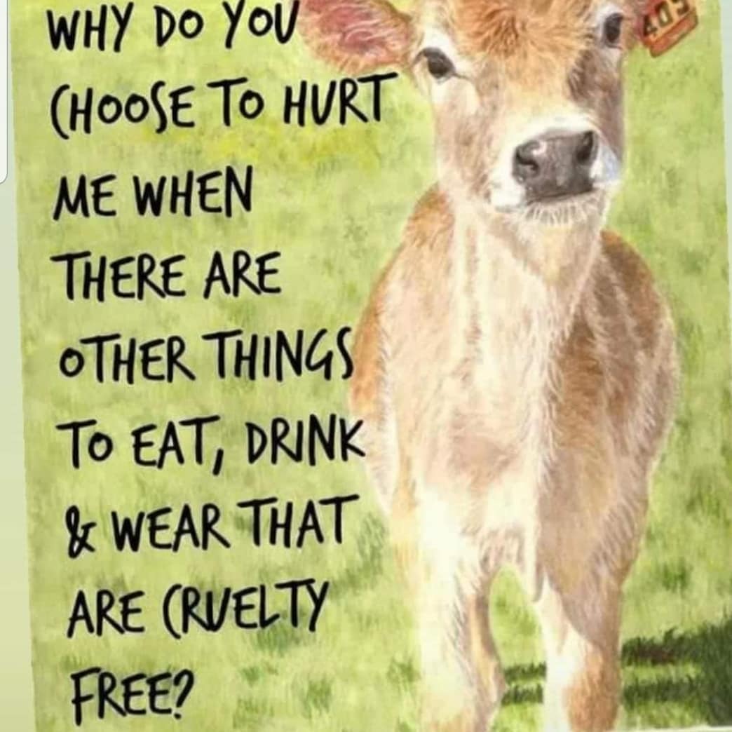 Don't hurt the animals for food. 💯

You have lots of #veganfood alternatives. 🌱

🚨If you don't know any, get the #vegan recipe cookbook here: linktr.ee/MyVeganReach