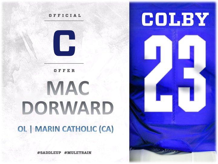 mac dorward tweet media