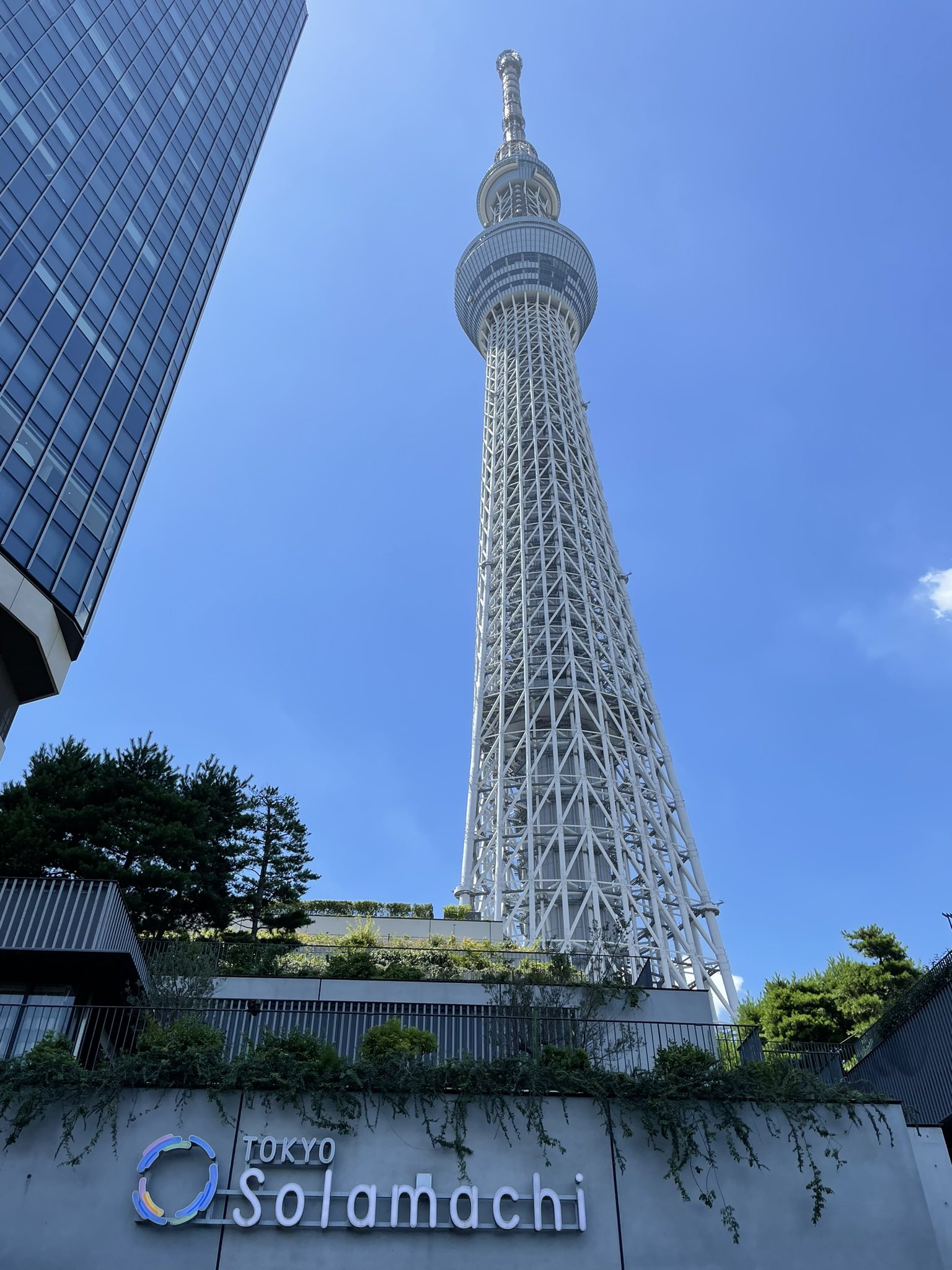 ぽんたん 記憶にない時間を取り戻しに 全ストーリー 目を開けて観る事ができた 前回はオオカミ座辺りから記憶が 天の川の話 全く覚えてない お昼抜いて 眠気無しでの参戦は完勝です ポケモンがあちこち 岸辺露伴さんいなくても撮影だけ