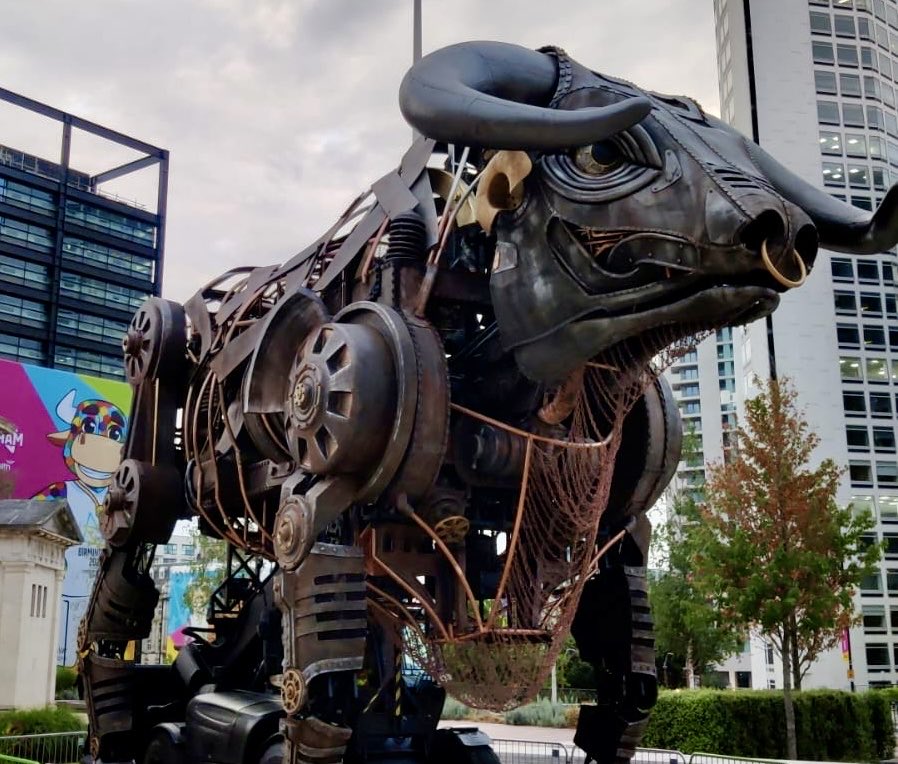 We have a new friend who’s arrived in Centenary Square. Wow.