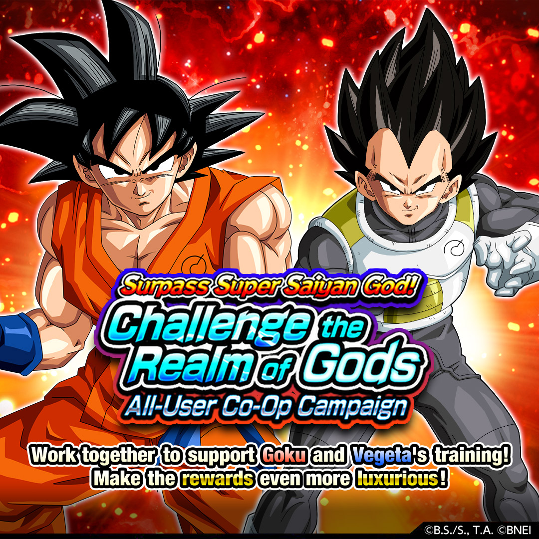 Dragon Ball Z Dokkan Battle on Twitter: "【NEWS】Surpass Super Saiyan God!  Challenge the Realm of Gods All-User Co-Op Campaign! Work together to  complete the missions! Dragon Stones and other awesome rewards can