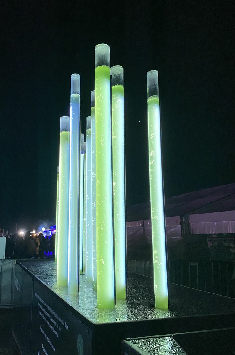 deepgreenhub's tweet image. The #Algae crew has finally washed the mud from our gear after an incredible #splendourinthegrass - Our team had &amp;gt;250 enthusiastic #algae conversations and 1000s more festival goers encountered #algae in a new light as the #LivingLights installation worked its magic!