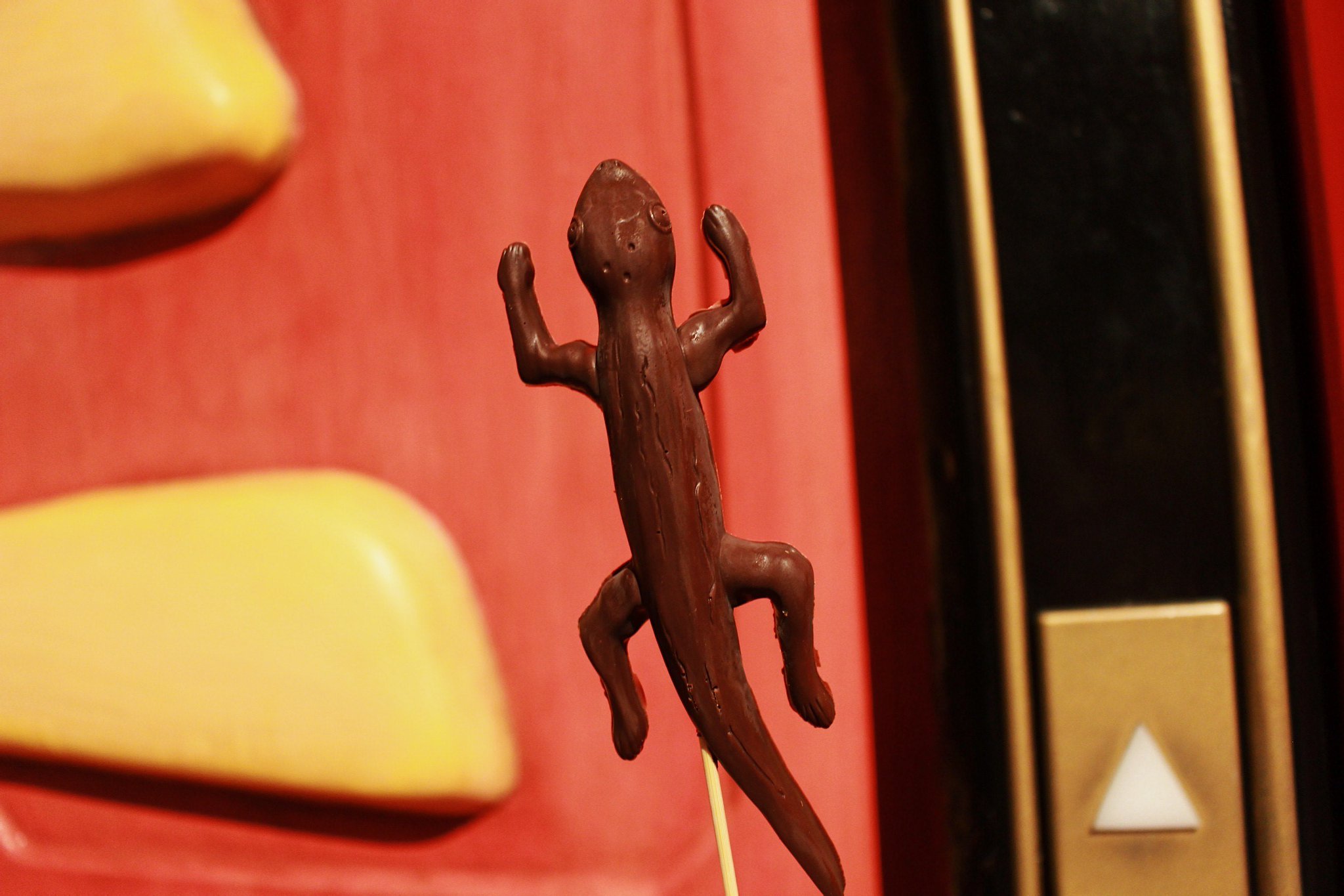 ハンドメイド☆イモリの黒焼き☆千と千尋の神隠し☆イモリの黒焼き