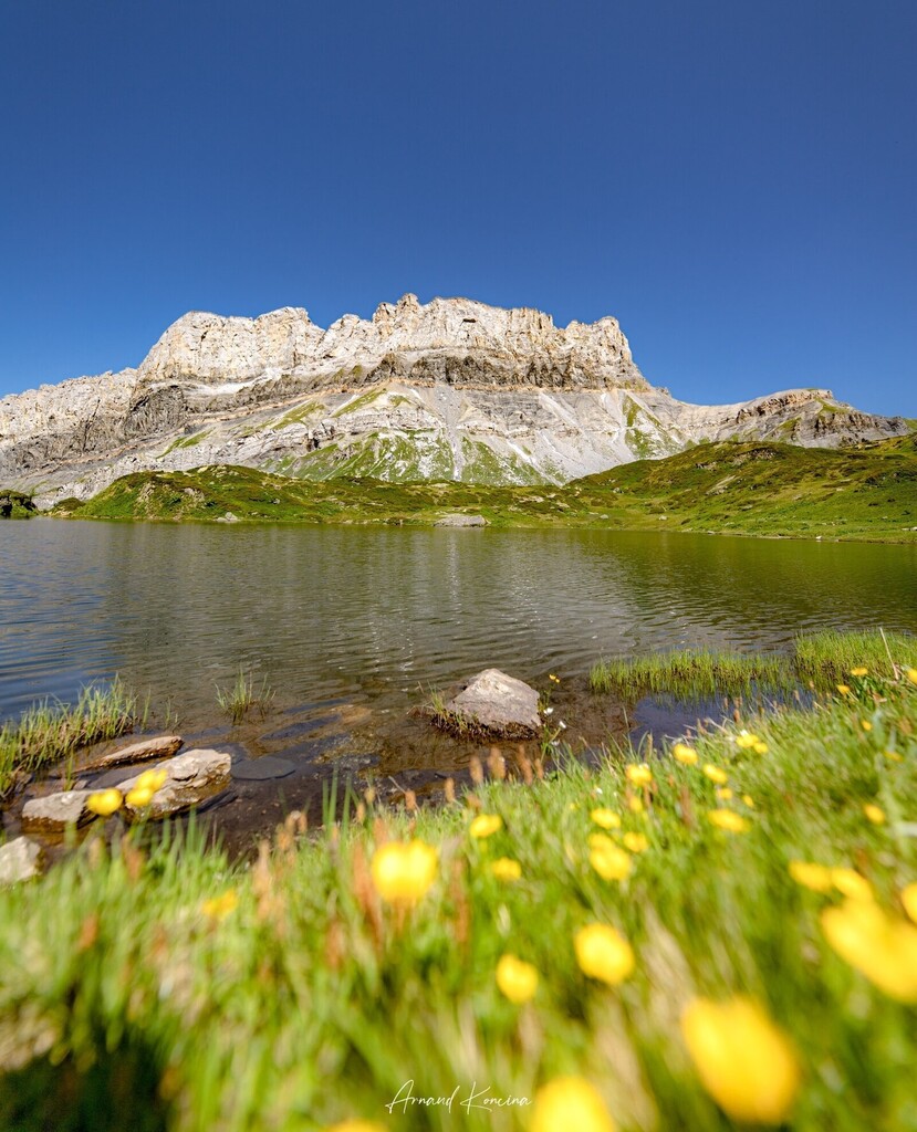 Petite pause au lac de Pormenaz lors de notre tour des Aiguilles Rouges. ⁠
.⁠
.⁠
.⁠
⁠
#canoneos6dmarkII #canoneos @sigmafrance #sigmaphotofr⁠
#montblanc #jpeuxpasjairando #jepeuxpasjairando #jpeuxpasjaimontagne #randonnée #hikingadventures #bivou… instagr.am/p/CglZiMeMtb6/