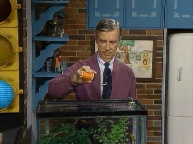 kikiorg's tweet image. Retweet:
After a 5-year-old blind girl wrote a letter to Mr. Rogers asking him to tell her when he fed his fish so she doesn't worry about them going hungry, he began narrating the feeding of his goldfish in every episode.
How simple it often is to be a more compassionate friend.