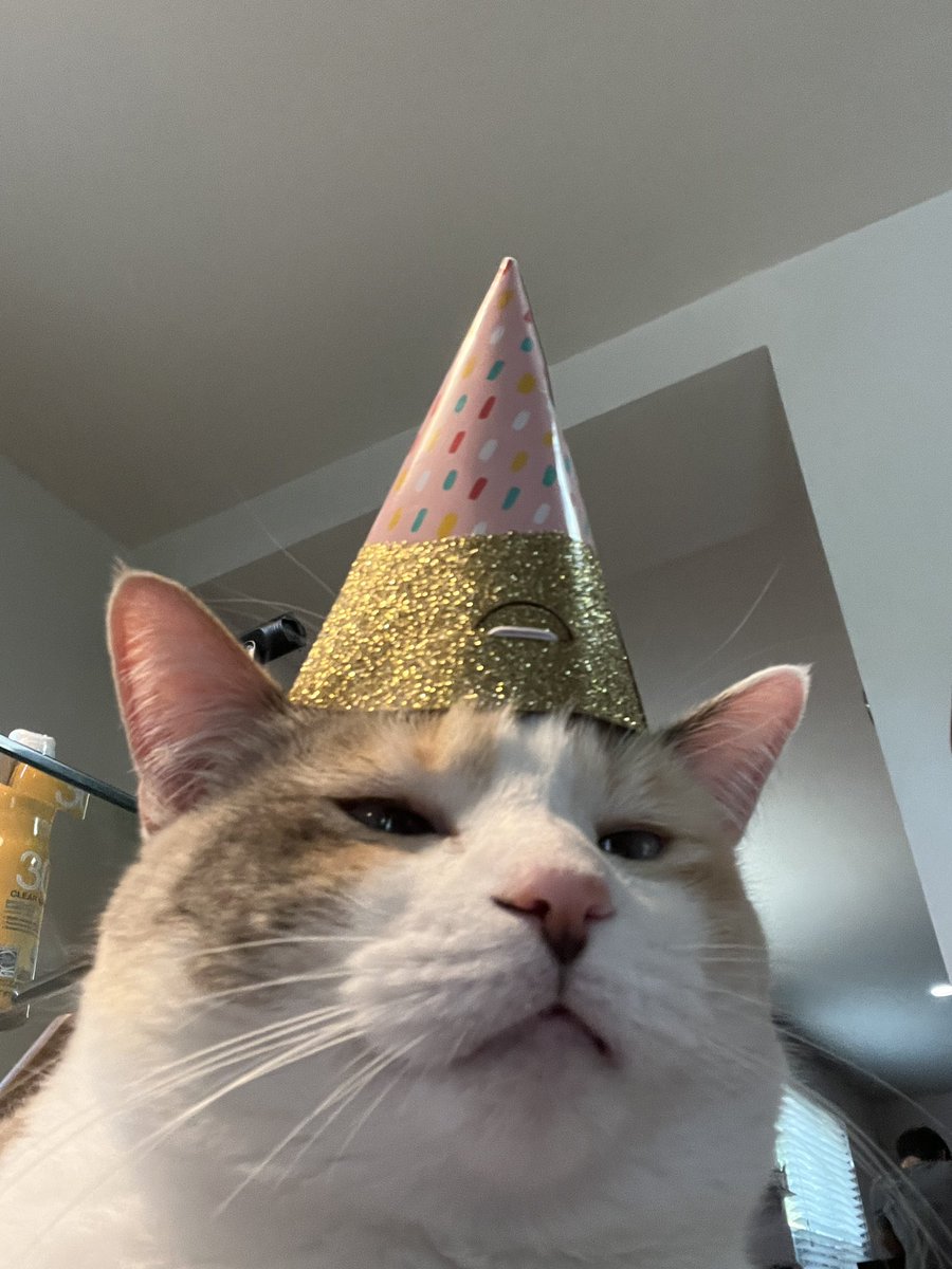 fatfatpankocat's tweet image. Gotta post these before her bday is over