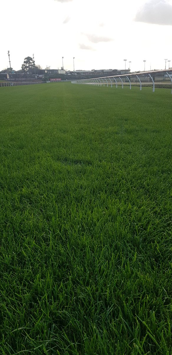 TRACK RATING: Today for M V  on 30 Jul 2022 is: Soft 6, Going stick 8.7, Rain:24hr 2mm/7day 9.2mm, Irr:24hr 0mm/7day 0mm