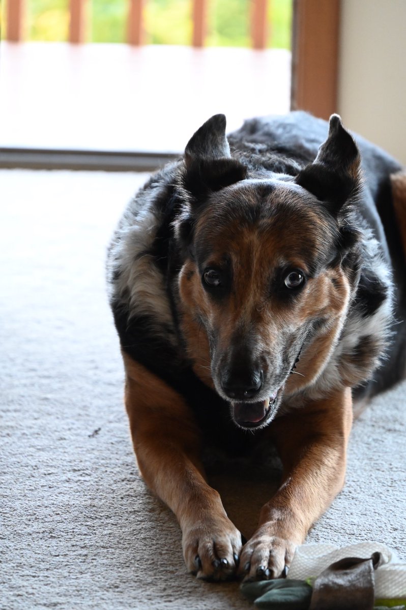 Why is it so hot, she says