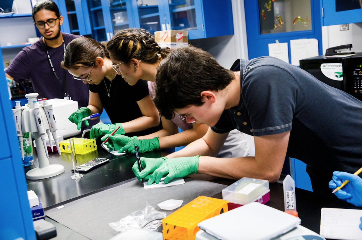 Bootcamps <a href="/DoDstem/">DoDSTEM</a> done !! #BioSenseNetwork had 66 trainees, both virtual and in-person. We covered  #VMD, #NAMD &amp; . on #MechanoBiology expts.

Join us here: biosense.network/share/7G8CJnR5…  for the free online material.

Our distributed network will reach 400 nodes by 2023 🤞🤞  (1/3)