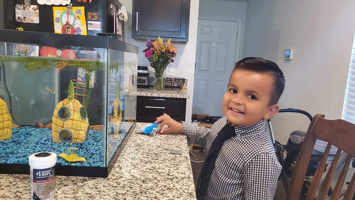 Gonzalez_CLB's tweet photo. A sweet birthday treat to go with coffee. Thank you @Channa93862894 for buying me a birthday lunch and calendar. 
Having a dog didn't work out for us but having an aquarium has been fun! We enjoy observing Capitán y Tiburoncín.
#ABSsummerchallenge https://t.co/4sDVnuqDS9