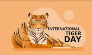 दीपक बोहरा tweet media