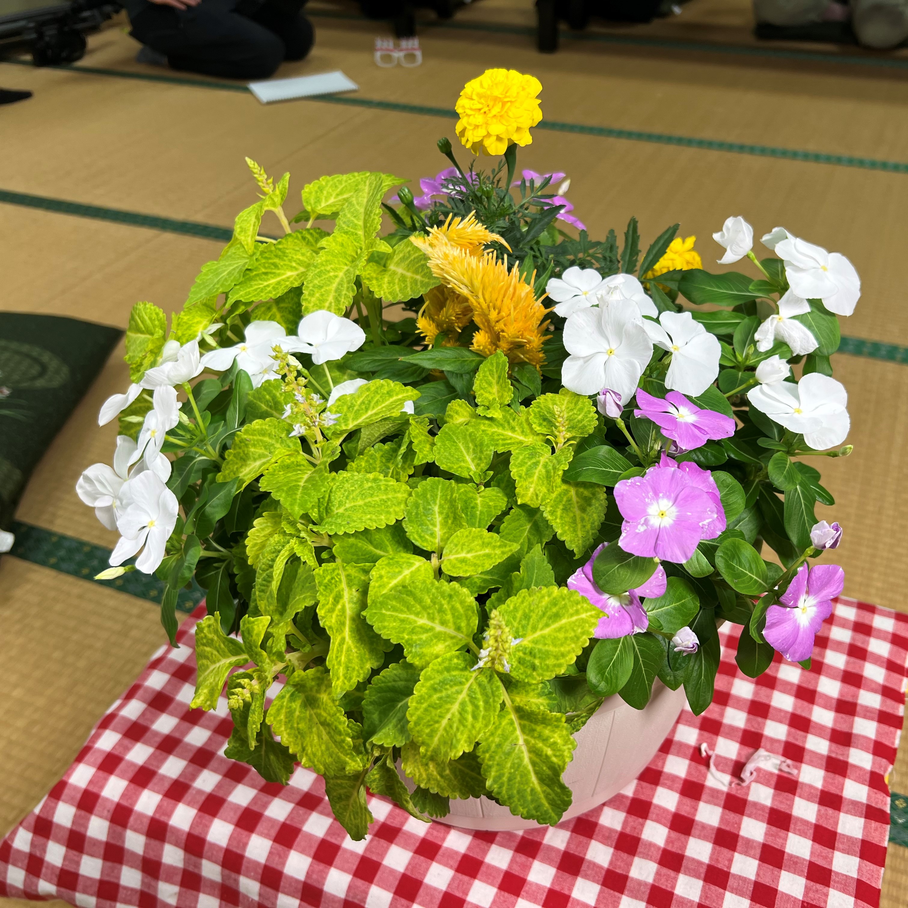 ボイメンのあいち農業塾！2022 on Twitter 