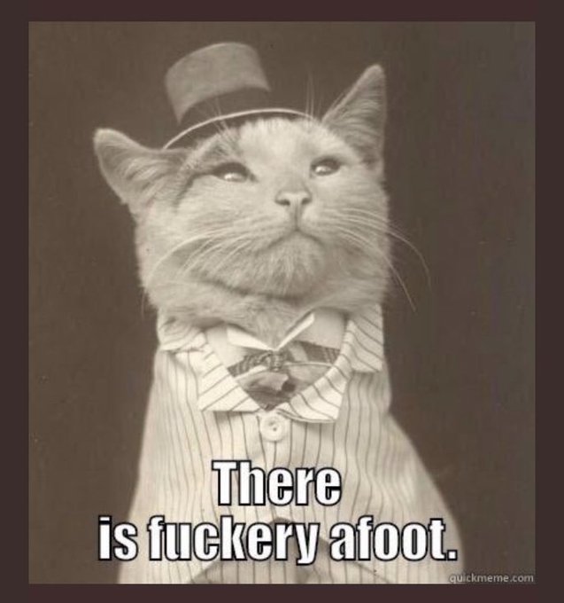 FYzShshXEAAaHHD?format=jpg&name=small