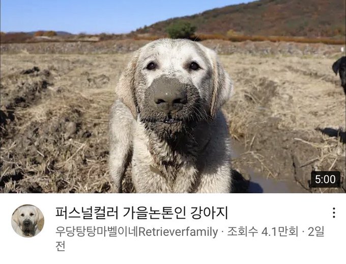 WkfxjfrP's tweet photo. 썸네일만 보고 개 빵터져버림 https://t.co/Qfrm7dT1ld