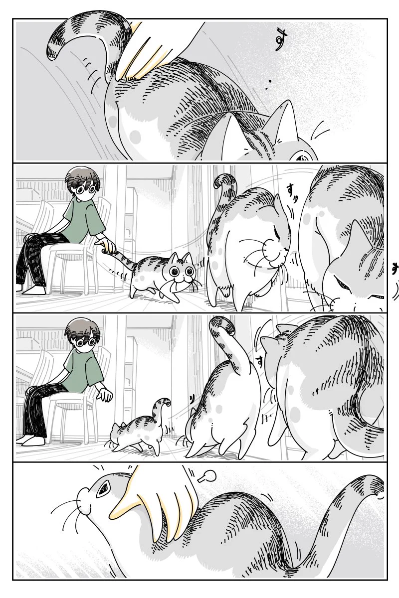 撫でて欲しすぎてこうなっちゃう？可愛すぎる猫の行動を描いた猫漫画！