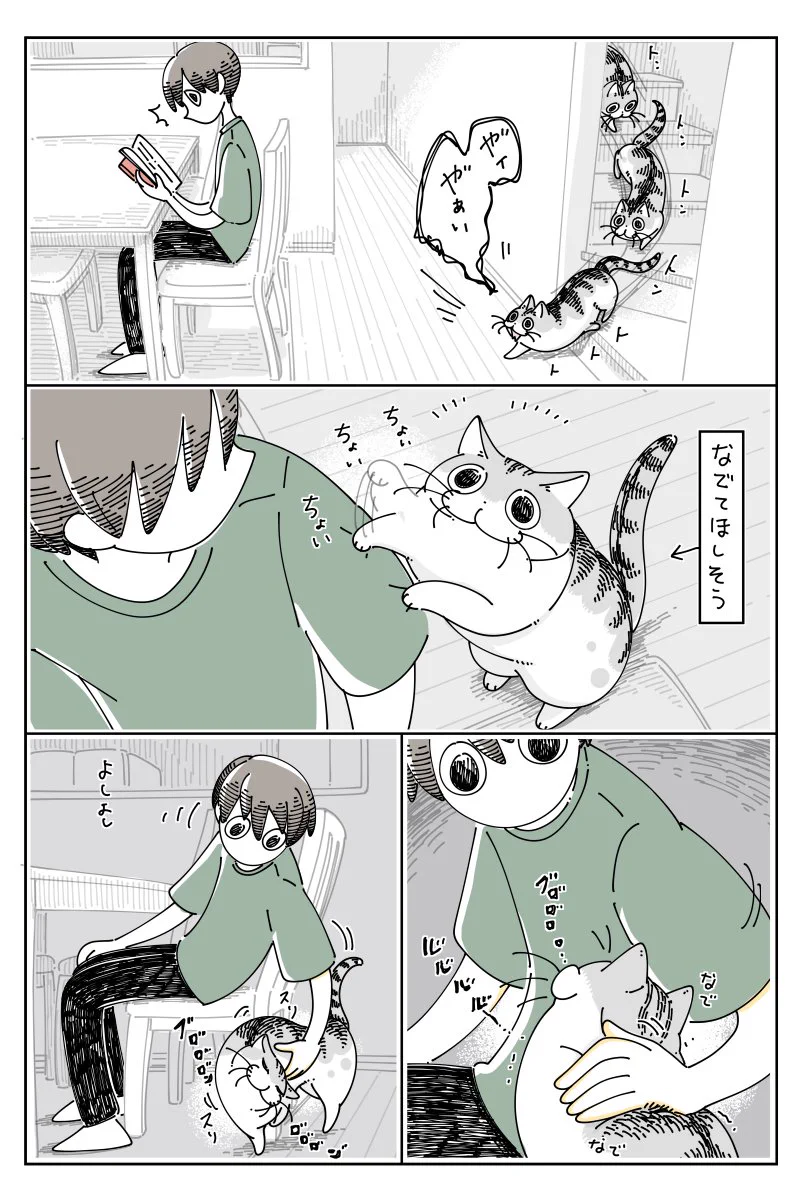 撫でて欲しすぎてこうなっちゃう？可愛すぎる猫の行動を描いた猫漫画！