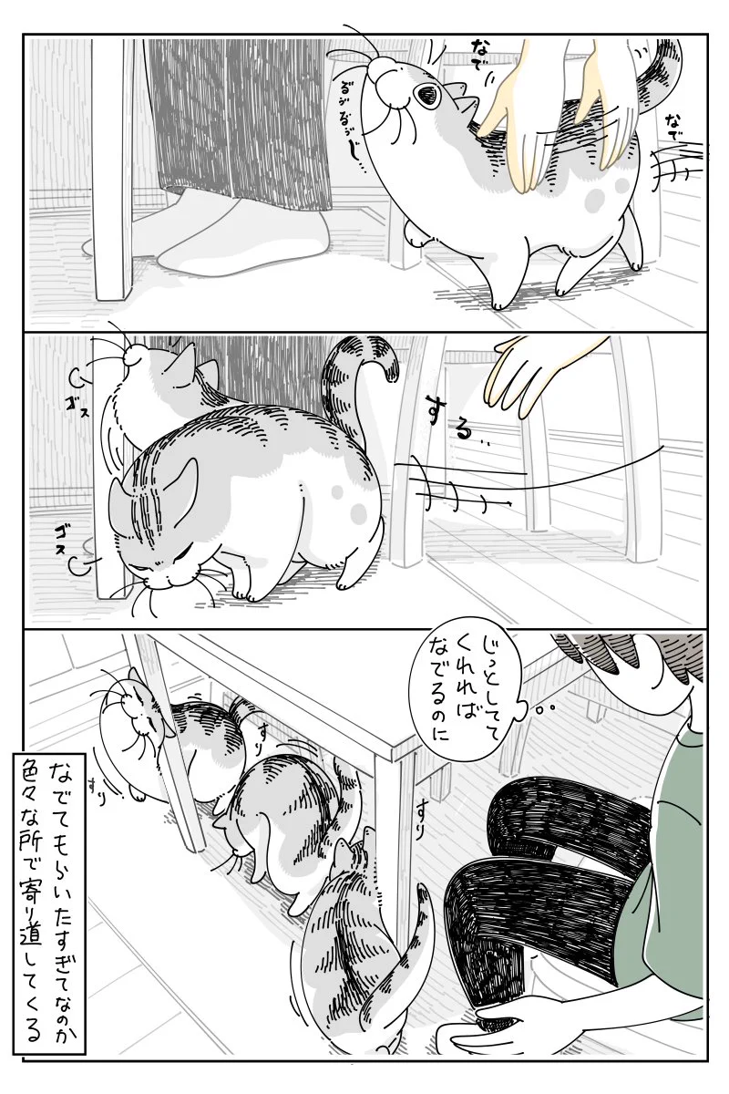 撫でて欲しすぎてこうなっちゃう？可愛すぎる猫の行動を描いた猫漫画！
