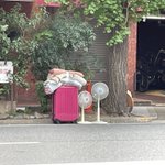 後ろには大荷物。これから旅に出るのであろう姿の扇風機。
