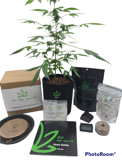 ipotlive's tweet image. All that is in the box?  😍😍😍