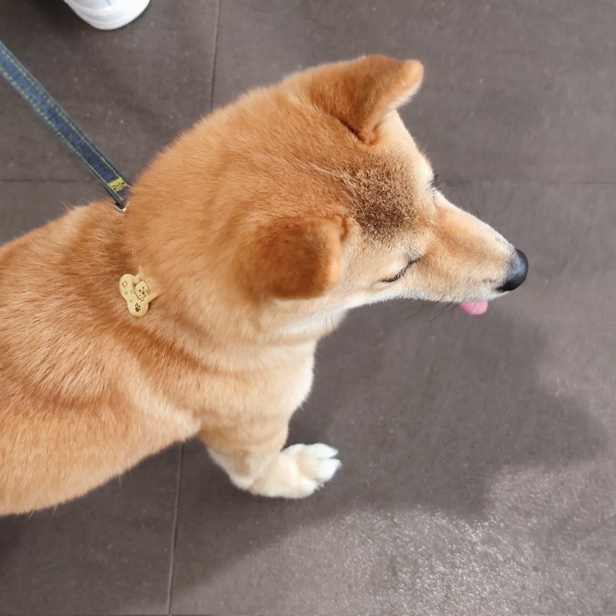 ddL11962507's tweet photo. #新头像 https://t.co/8g6kjFVpje