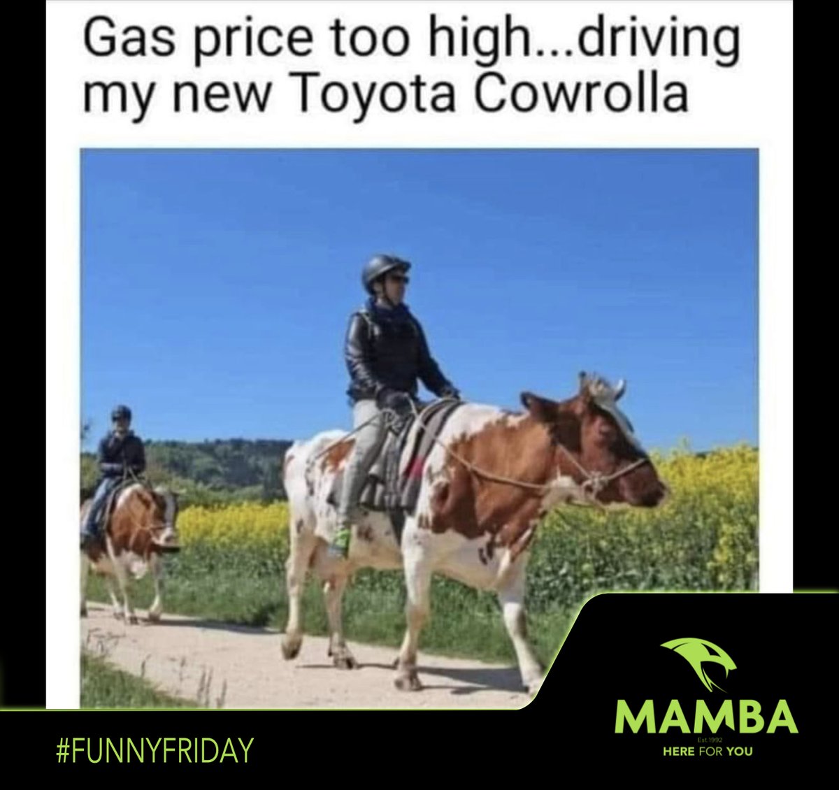 Mamba_Group's tweet photo. 𝐆𝐚𝐬 𝐩𝐫𝐢𝐜𝐞 𝐭𝐨𝐨 𝐡𝐢𝐠𝐡… 𝐃𝐫𝐢𝐯𝐢𝐧𝐠 𝐦𝐲 𝐧𝐞𝐰 𝐓𝐨𝐲𝐨𝐭𝐚 𝐂𝐨𝐰𝐫𝐨𝐥𝐥𝐚🤣

Have a great weekend to all our tribal fans.  

Admin: 011 609 0237 
Emergency: 011 609 0227 
https://t.co/Fk7SaV3xlV 

#JoinTheTribe 
#FunnyFriday https://t.co/6XyMFJaS1I