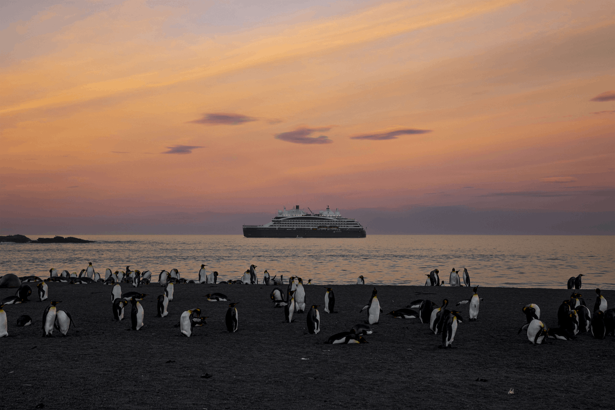 ponant_EN's tweet photo. The latest addition to our fleet, #LeCommandantCharcot, is celebrating its first birthday! Here are a few photos to illustrate this moving ceremony, that rounds off 6 years of consistent hard work.
#BeyondExploration #ReachingTheAbsolute
📸 PONANT-Julien Fabro / Kristin Støylen https://t.co/Ya2eLVtBt9